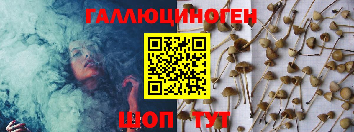 Алейск  Псилоцибиновые грибы прущие грибы  Вход с VPN  Псилоцибиновые грибы ЛСД 